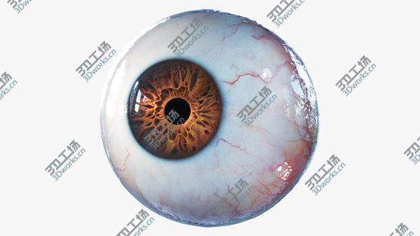 images/goods_img/20210312/3D Eye Rigged model/3.jpg